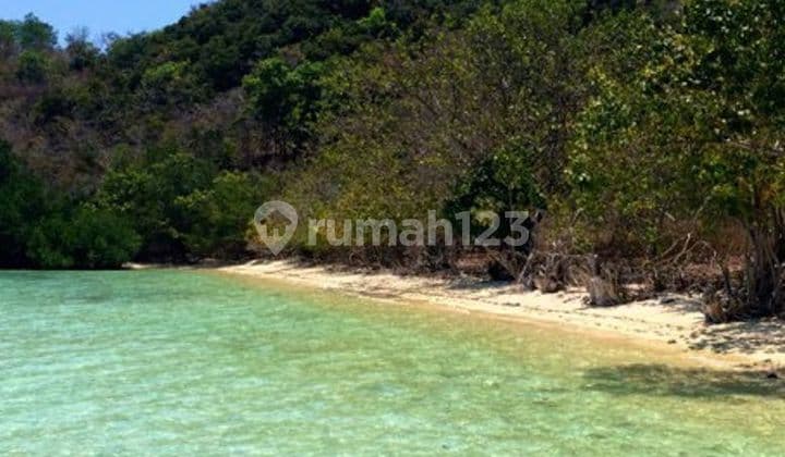 Land For Sale Prime Beachfront Land At Flores Nusa Tenggara
