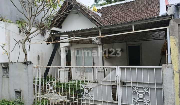 For sale bonus land for old house buildings in Canggu