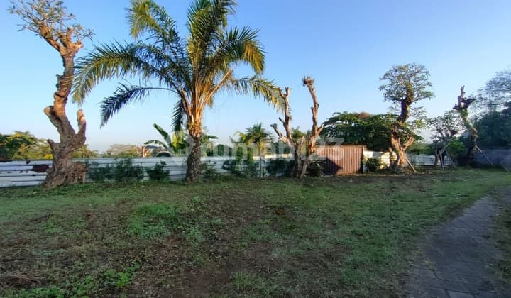Tanah Los Sungai Jungle View Dekat Green School Arah Ubud Bali