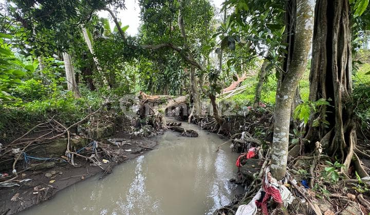 Dijual Tanah Los Sungai View Sawah di Area Tanah Lot Tabanan