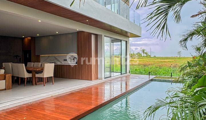 Brand New Freehold Contemporary Villa Design
