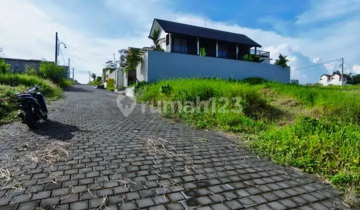 For Sale Land Loss River View Rice Field Tabanan