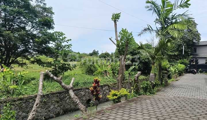 Dijual Tanah Cocok untuk Kompleks Villa Kerobokan