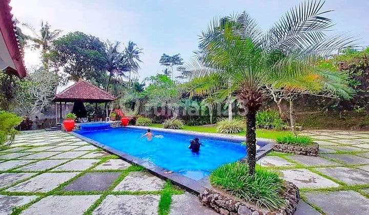 Rumah Istimewa Jalan Kaliurang Km 16 Lingkungan Asri