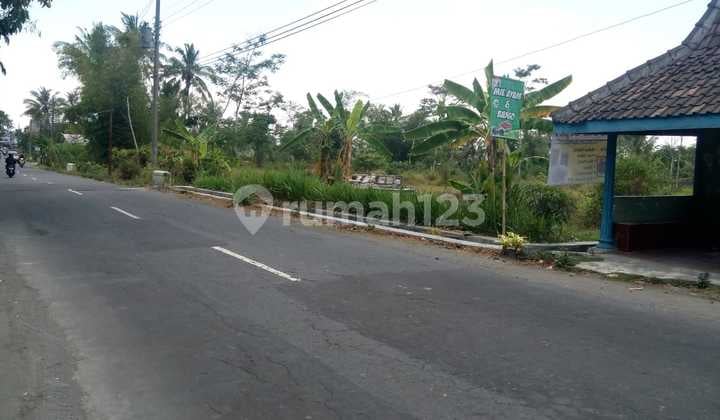 Tanah Pinggir Jalan Besar Seyegan Cocok Perumahan