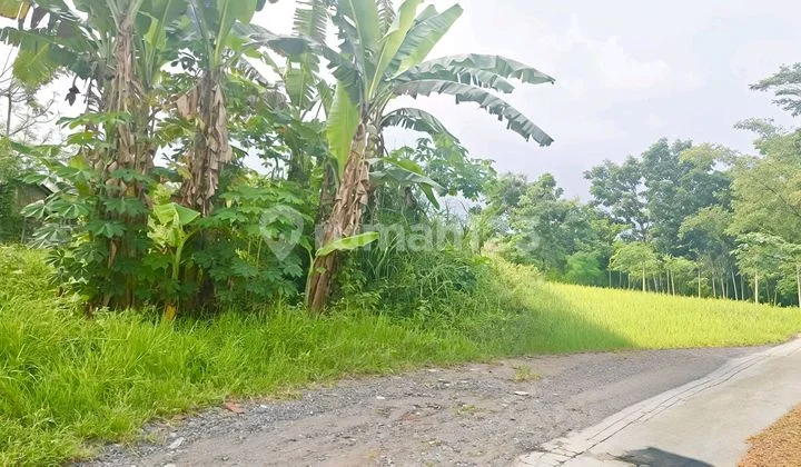 Tanah Murah Jalan Kaliurang Km 9 Area Perumahan Tanah Murah Jalan Kaliurang Km 9 Area Perumahan
