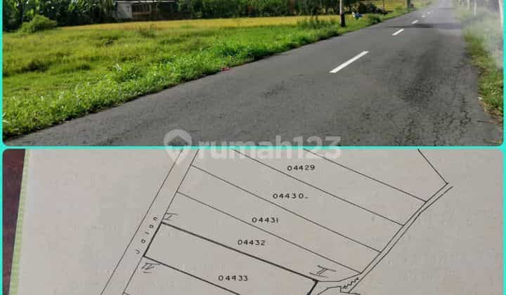 Tanah Pinggir Jalan Besar Minggir Godean Tanah Pinggir Jalan Besar Minggir Godean