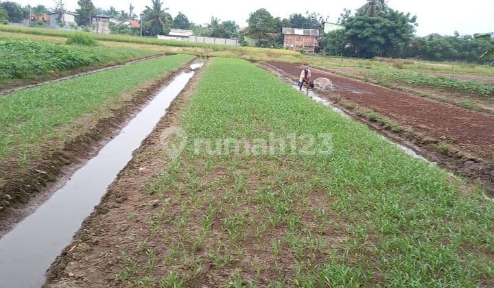 Tanah Pinggir jalan Gempol Sari Sepatan Timur Tangerang