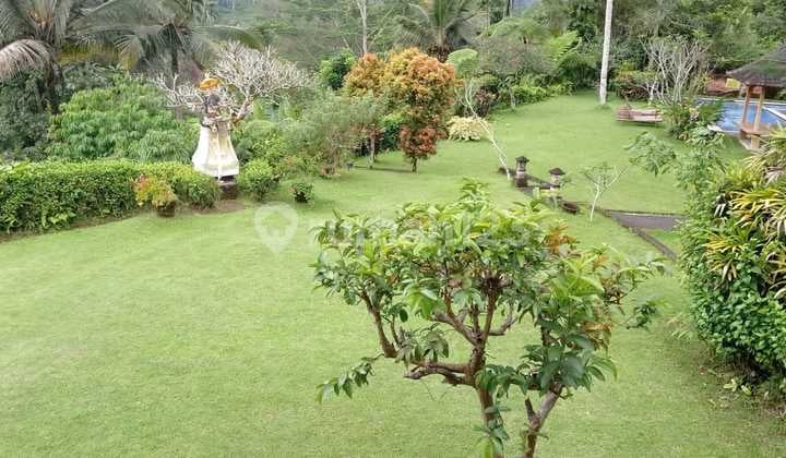 Cheap Land 1,915+8,715 m² on Raya Sukabumi Selabintana