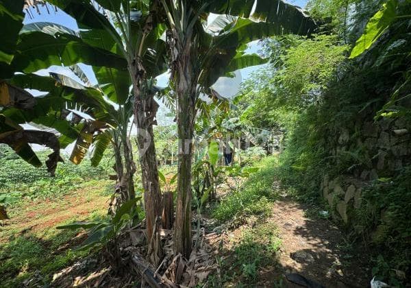 Cheap Land for Sale in Bojongsari, Depok