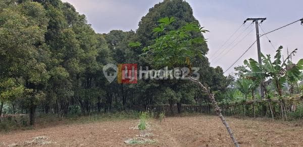 Dijual Tanah Murah di Sukabumi