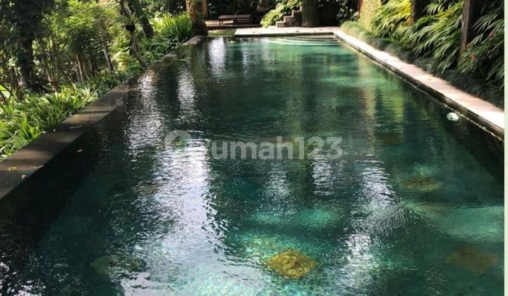 Villa Tropis View Lembah dan Sawah Dekat Alila Payangan
