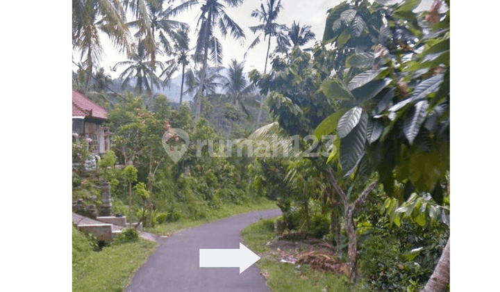 Jual Cepat Tanah Kebun di Pohsanten Mendoyo Jembrana