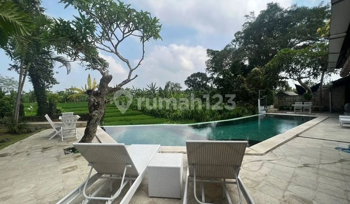 Tropical Villa and Rice Field View at Berawa Beach Canggu