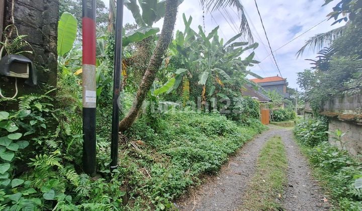 Cheap Land Near Wood School In Pejeng Ubud Area