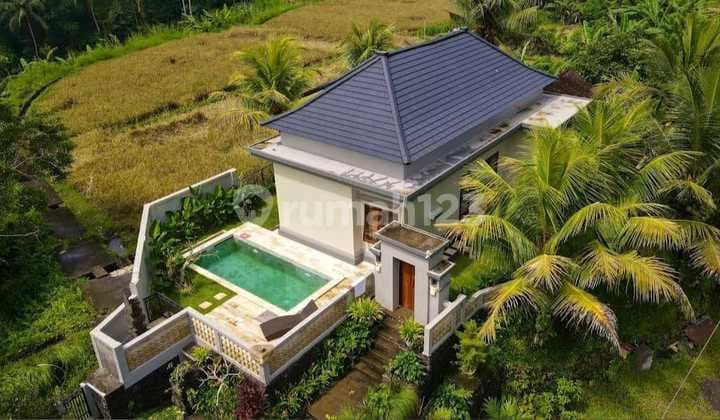 Villa Tropis View Hutan Di Tampaksiring Ubud Area