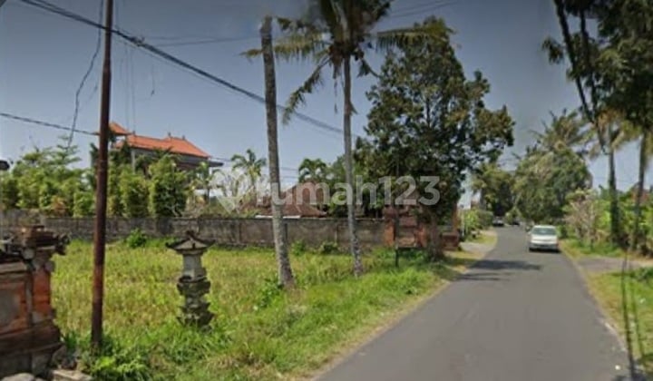 Tanah Disewakan di Tengkulak Mas Kemenuh - Gianyar