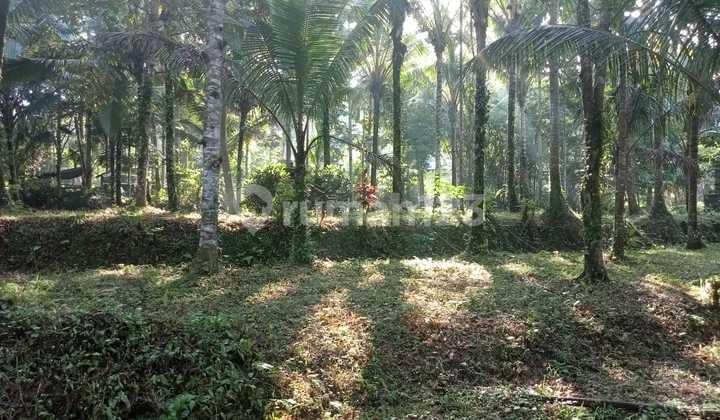 Tanah View Sunset di Tegal Lipah, Sidemen