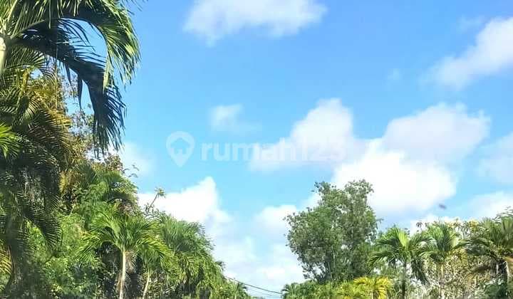 Tanah Kavling Exclusive di Taman Mumbul Benoa - Nusa Dua Area