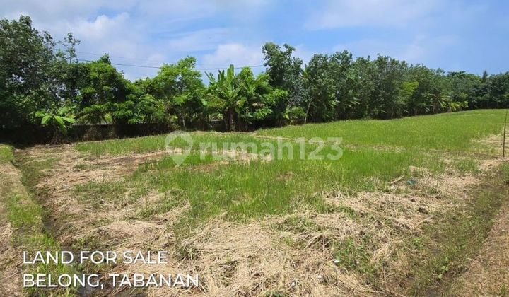 HGB plot of land near Pangkung Beach Tibah Tabanan