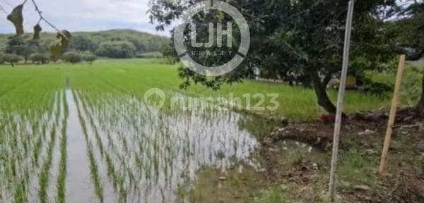 Kavling Lokasi Strategis di Raya Tomo, Sumedang, Jawa Barat