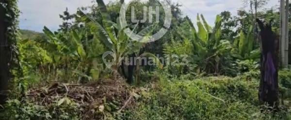 Kavling Strategis di Raya Tomo, Sumedang, Jawa Barat Kavling Strategis di Raya Tomo, Sumedang, Jawa Barat