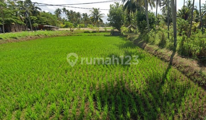 For Sale: Strategic Land Near Batukaras Beach - Suitable for Villas & Hotels