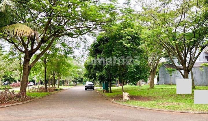 Kav Hook Bagus 13X16 Nittaya Avani Dkt Sts KRL dan Pasar Modern K