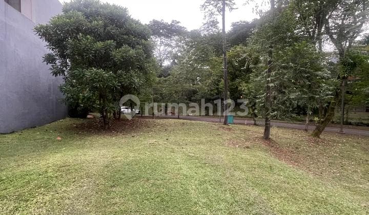 Front & Side Lots with Garden 15X25 Land More Royal Blossom F