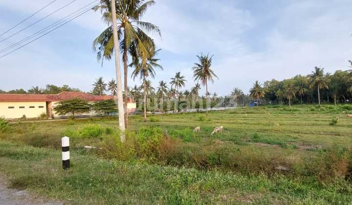 Land for Sale Fast and Cheap in Kebumen, Central Java