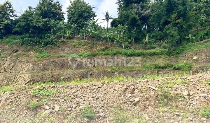 For Sale Kic Gatsu Land LT 1276, Semarang For Sale Kic Gatsu Land LT 1276, Semarang