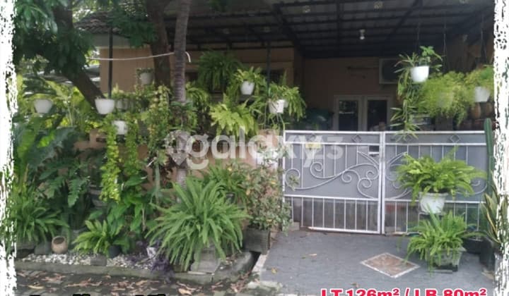 rumah murah sidoarjo 500 juta an