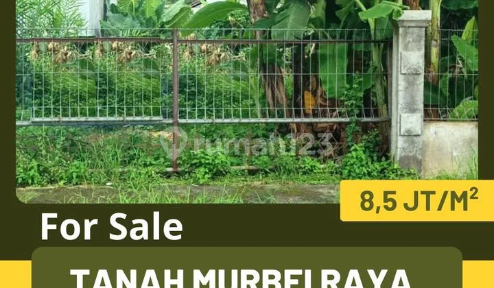 Jual Tanah Murbei Raya Jual Tanah Murbei Raya