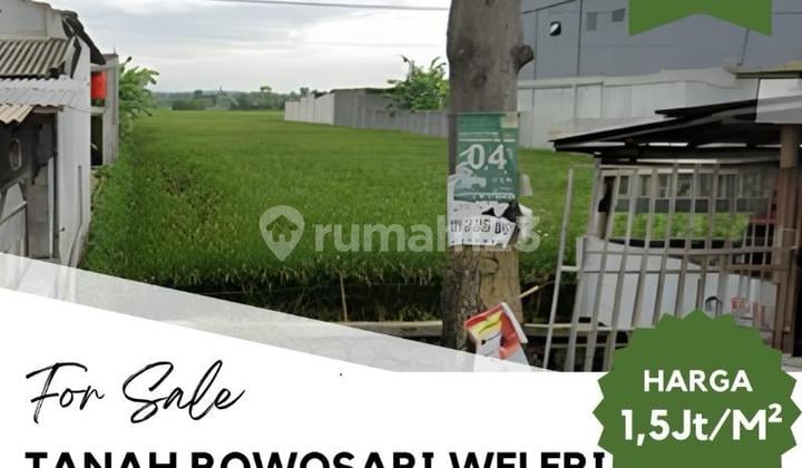 Jual Tanah Rowosari Weleri Kendal