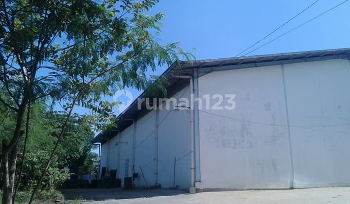 Affordable Large Warehouse in Tangerang