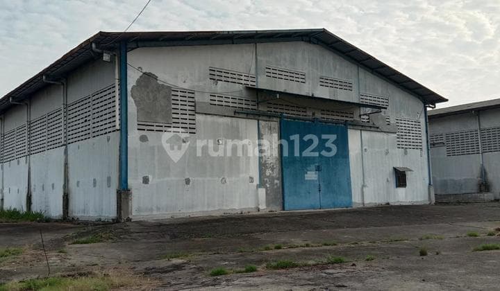 Disewakan Gudang Di Krawang Timur Urwasari