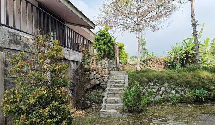 Di Jual Tanah Puncak LT 10.200 Cipanas, Cianjur, Puncak