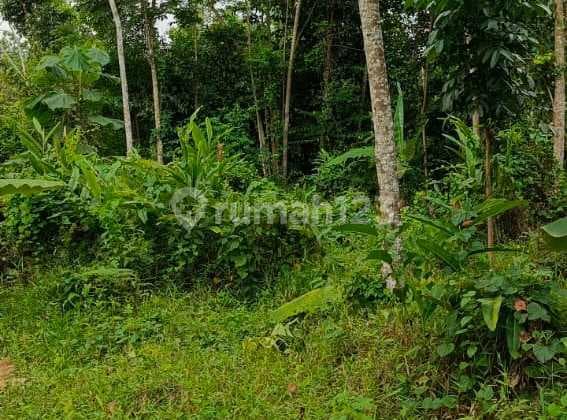 Dijual Cepat Kavling + Villa di Jl Cirendeu - Cigudeg.Bogor Barat