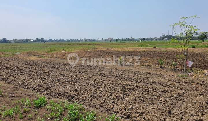 Jual Cepat tanah/lahan di pinggir jalan Kedaung Babelan Bekasi