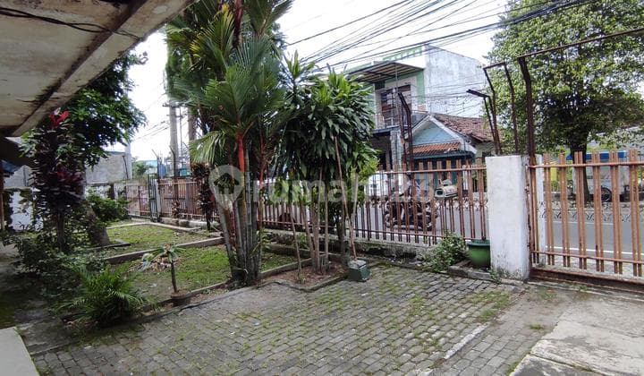 Bunga Cengkeh Malang. Komersil Rame