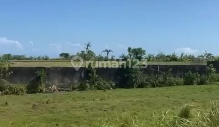 Jual Cepat Tanah sudah SHM di Kedungu Bali