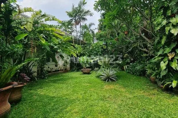 Kemang Dalam Rumah Klasik Asri Yg Adem Lingkungan Sangat Nyaman