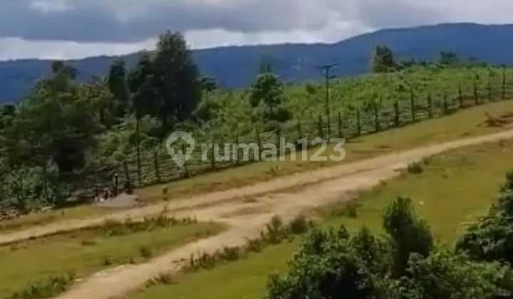 Tanah Luas Area Jonggol, Bogor Area Perkebunan