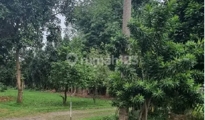 Jual Cepat Tanah Bintaro Veteran Pesanggrahan Jakarta Selatan