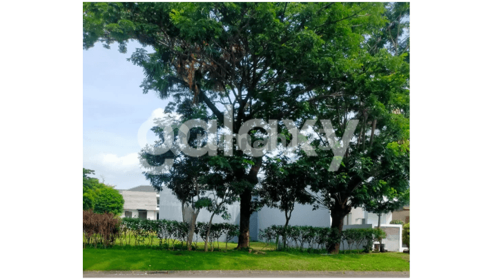 Tanah Lokasi Premium Strategis Raya Palm Beach Pakuwon City Surabaya