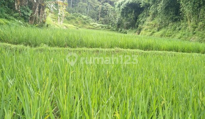 Tanah di Banjaran SHM 1680.0 M² Jual Murah