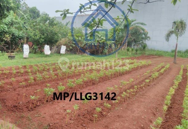 Tanah Murah di Taman Kebon Jeruk Jakarta Barat