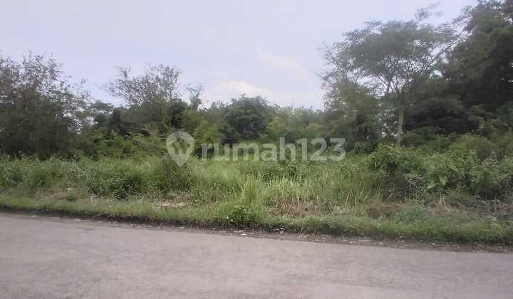 Tanah Murah Industri Strategis Cocok untuk Gudang di Karanganom, Klaten, Jawa Tengah