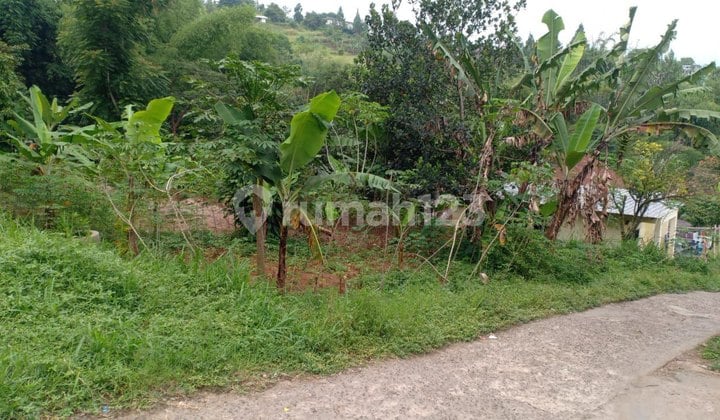 Bojong Koneng, Cikutra. Tanah Kebun Di Kota Bandung Bojong Koneng, Cikutra. Tanah Kebun Di Kota Bandung