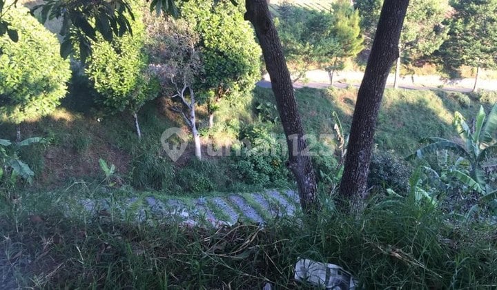 GUNUNG PUTRI, LEMBANG. TANAH KEBUN LUAS DI BANDUNG